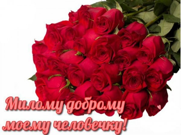 T-xDuEUfyKA