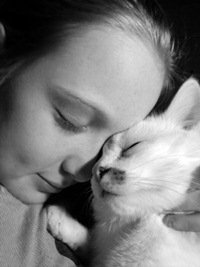 Котик2