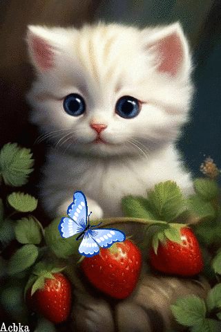 file_96967187
