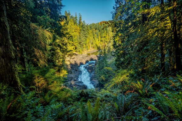 Парк vancouver island