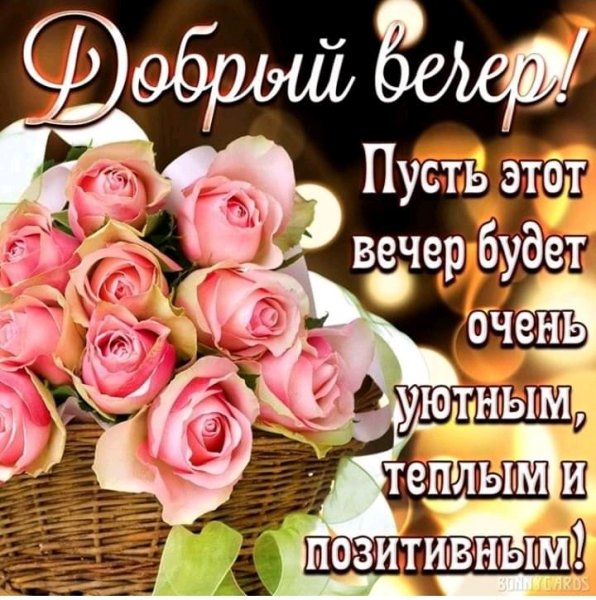IMG 20191204 213128