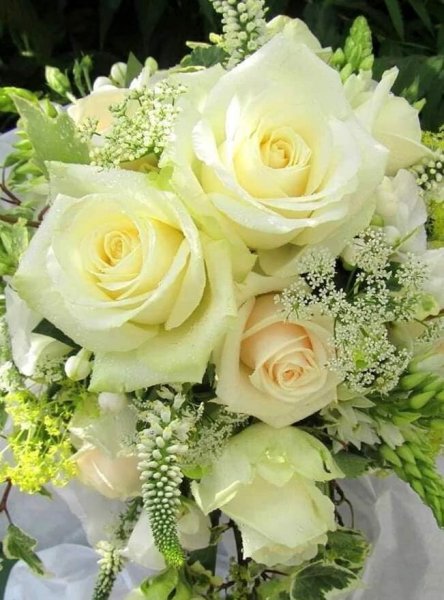 image (29)