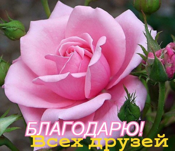 L4YqXt0wT6Y