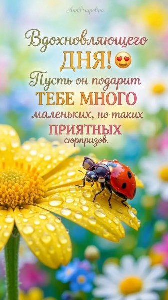 IMG 20260502 230139