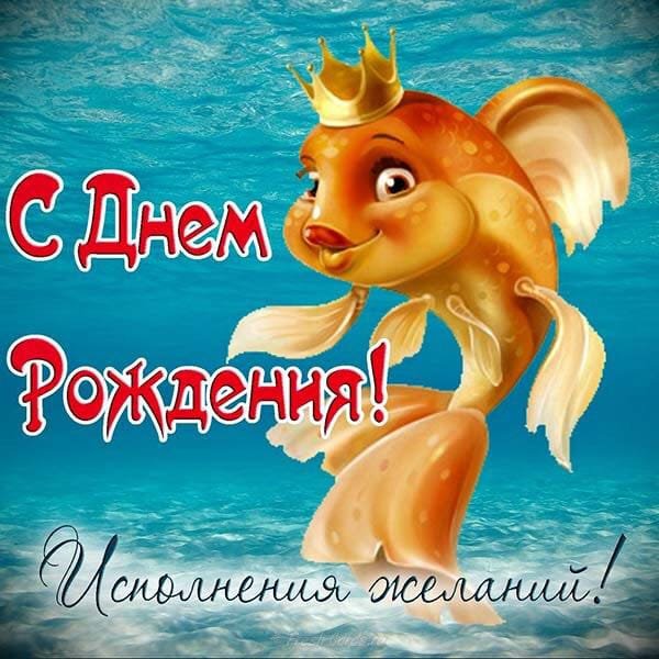 IMG-20190223-WA0001
