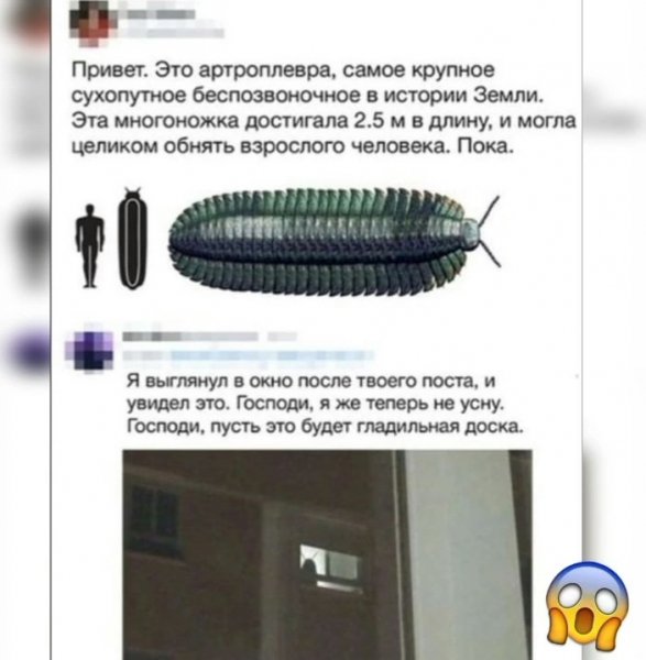 MENslYb7guU