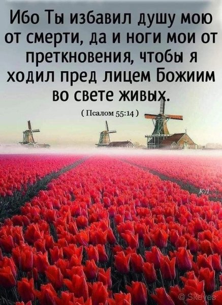 (Пс.55:14)