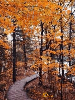 file_59320402