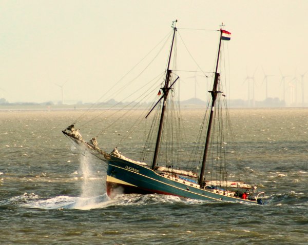 IMG 20200203 093444