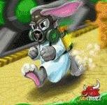 Nuclear Rabbit