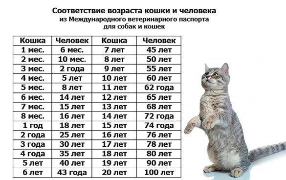file_92713516