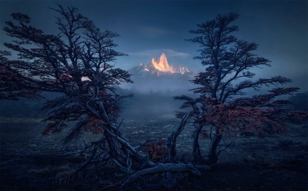 Iuzhnaia-amerika-patagoniia-derevia-gory