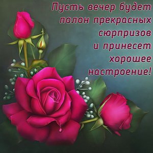 IMG 20190216 732019