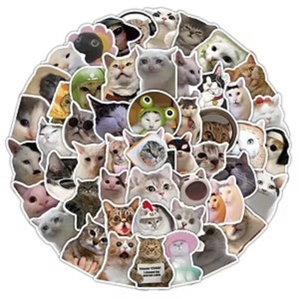 КОТЫ...