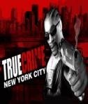 True Crime 2