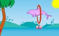 Polly Dolphin Show