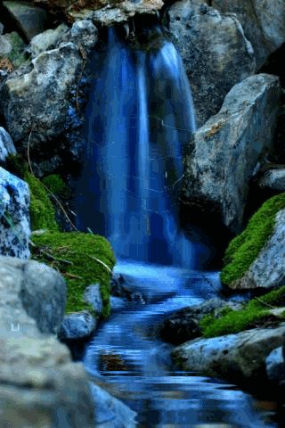 file_58111187