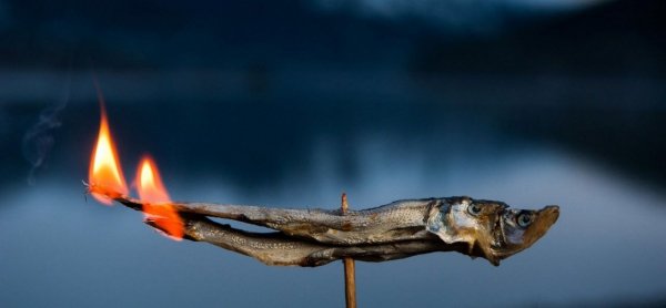 IMG 20200802 203922 115