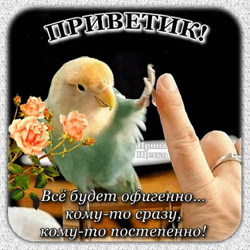 Анимированная открытка приветик