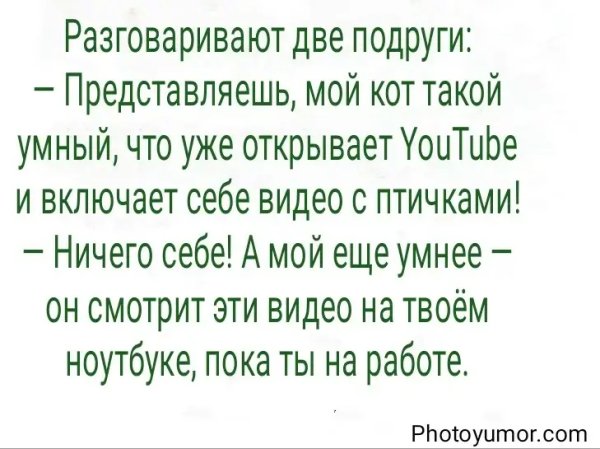 Razgovarivajut-dve-podrugi-predstavljaesh-moj-kot-takoj