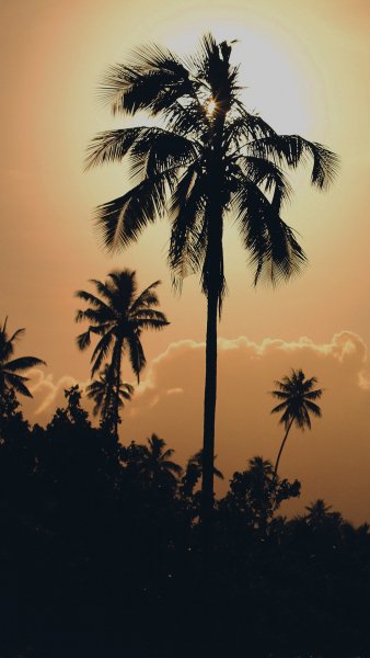 New 437 Rutwik Patel