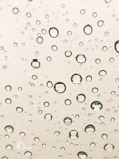 file_58937431
