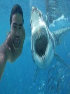 file_54696142