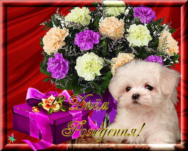 file_76955293
