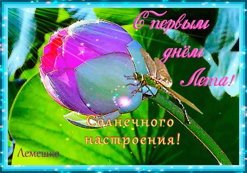 Анимированная открытка с первым днем
