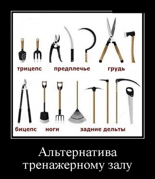 file_78266711
