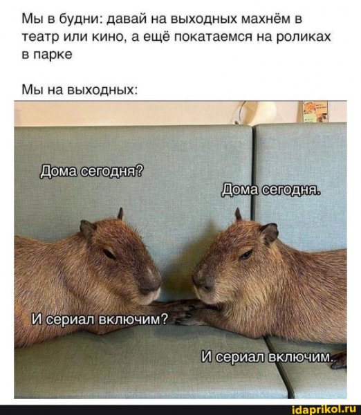 e3286bb837ae4763c5602d73e07b516521edf63 1