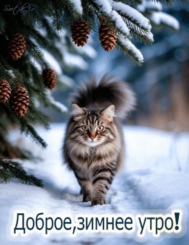 Анимированная открытка доброе зимнее