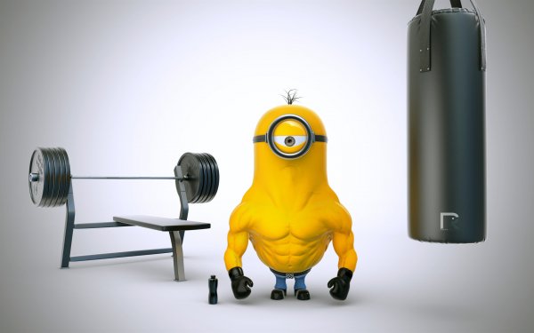 Wallpapers 532
