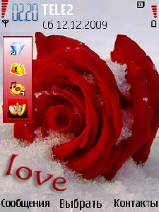 cold-rose