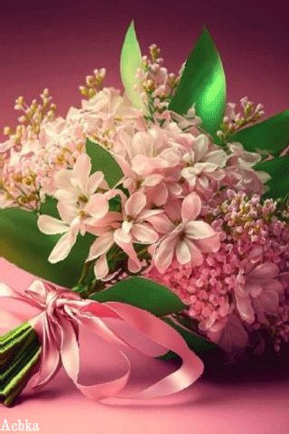 file_93691871