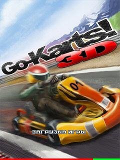 go-karts-3d