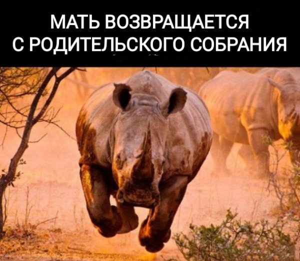 file_101008819