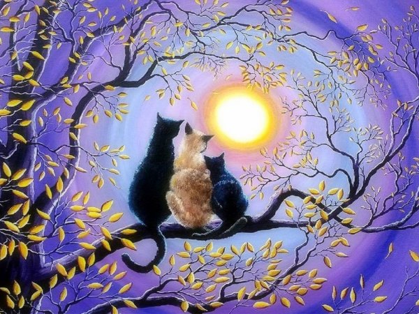 Кошки на ветке