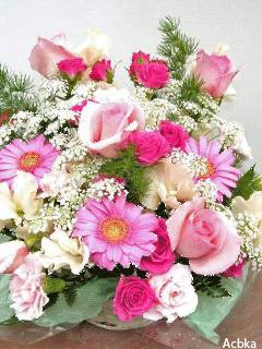 file_57859570