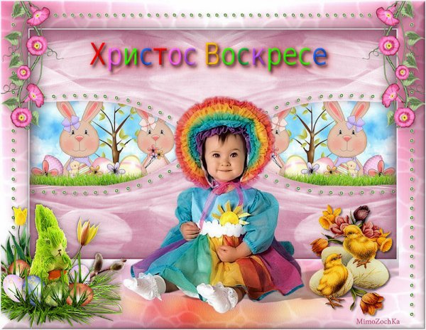 0 db21f 21844478 XL
