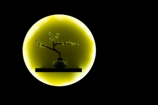 krug-luna-vaza-vetka-ikebana