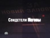 Я был старейшиной СИ