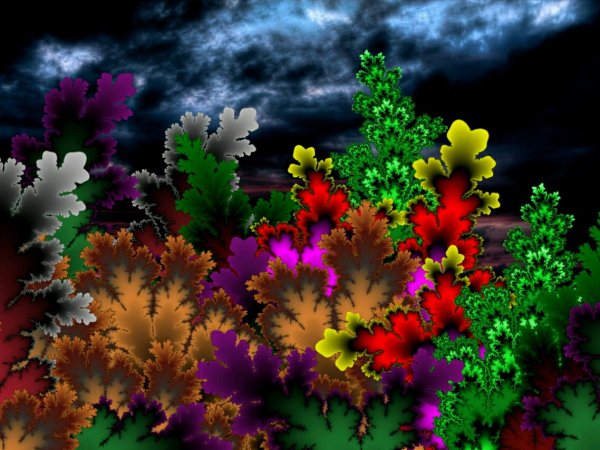 adapted landscape 1138x854