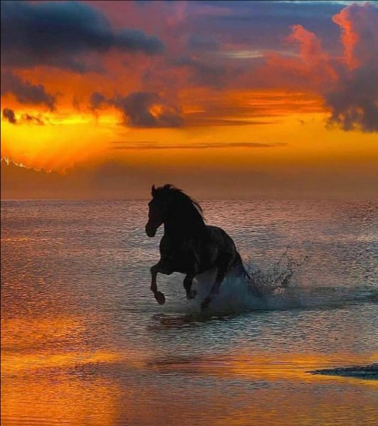 Screenshot 2021-05-22-22-15-50