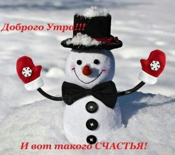 IMG 20190114 033719