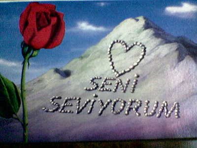 SENISEVIYORUM000