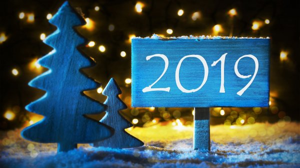 С Новым 2019! (53)