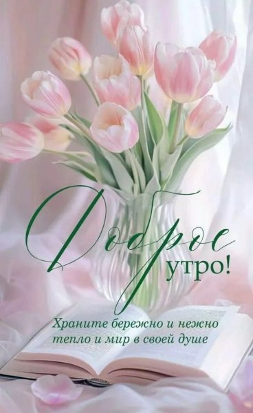 Доброе утро