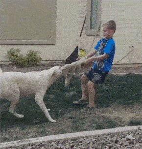 ))