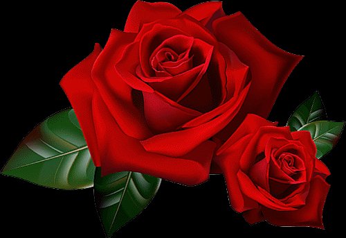 file_76382480